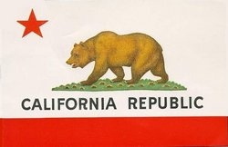bearflag_1.jpg